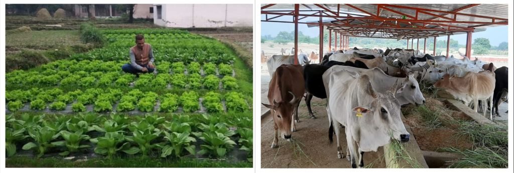 Natural Farming and Dairy Sector