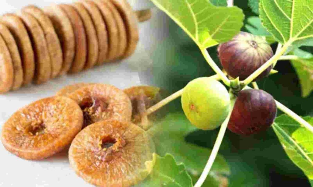 1600x960 628916 anjeer khane ke fayde nuksan khane ka tarika in hindi fig benefits side effects and how to eat figs in hindi
