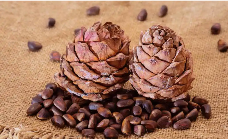 Screenshot 2025 05 14 212744