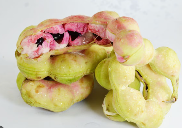 जंगल जलेबी के हेल्थ बेनिफिट जानकर आप हो जाएंगे हैरान! इन लोगों को जरूर करना चाहिए इसका सेवन . 1 Screenshot 2025 05 24 223023