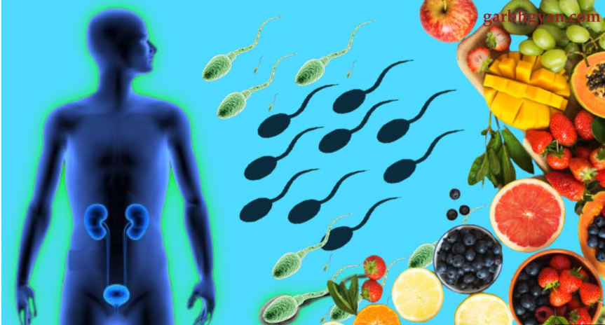 क्या खाने से आपके शरीर में शुक्राणुओं की संख्या हो जाएगा दोगुना? Doctor ने sperm count बढाने के लिए ये खाने की दी सलाह. 4 Screenshot 2025 05 30 164236
