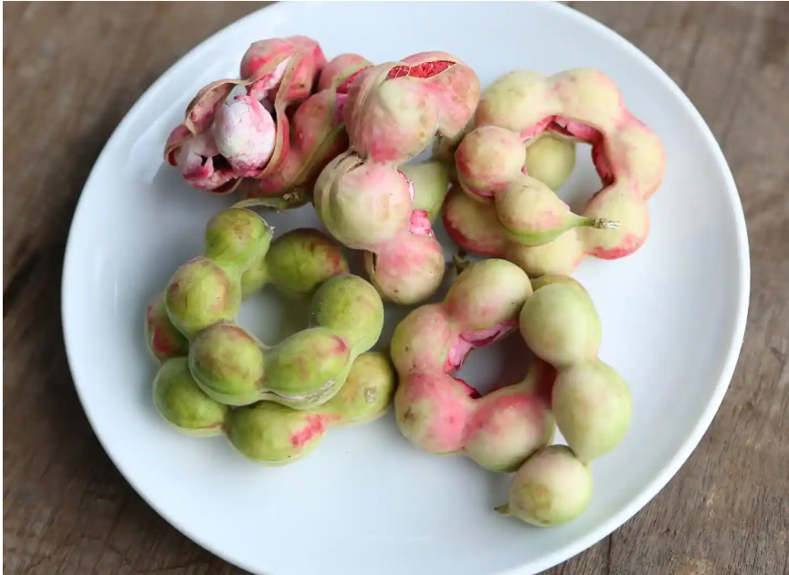 जंगल जलेबी के हेल्थ बेनिफिट जानकर आप हो जाएंगे हैरान! इन लोगों को जरूर करना चाहिए इसका सेवन . 6 image 10