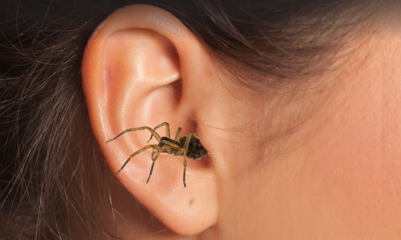 Screenshot 2025 07 29 222512