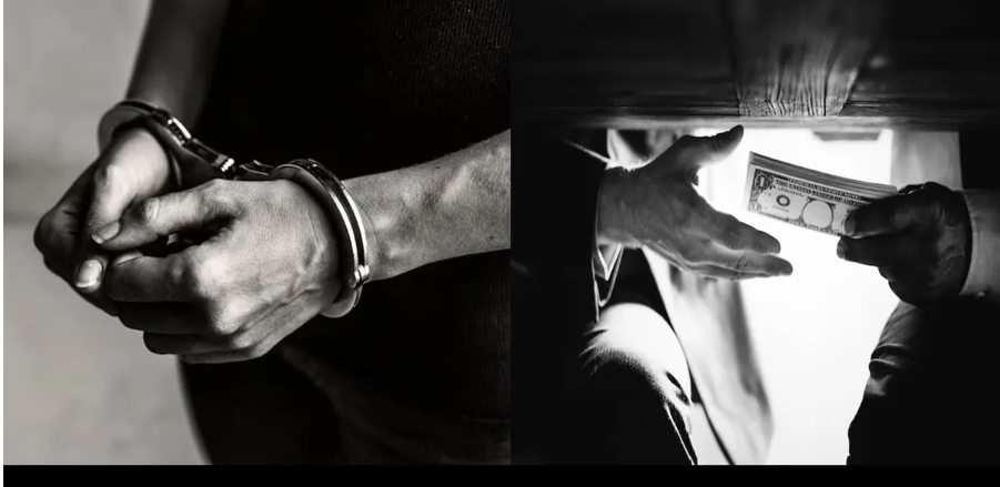 GST अफसर बने ईमानदारी और प्रोफेशनलिज़्म की मिसाल, 22 लाख रिश्वत ऑफर कर रहे दो लोगों को CBI से पकड़वाया 1 image 19