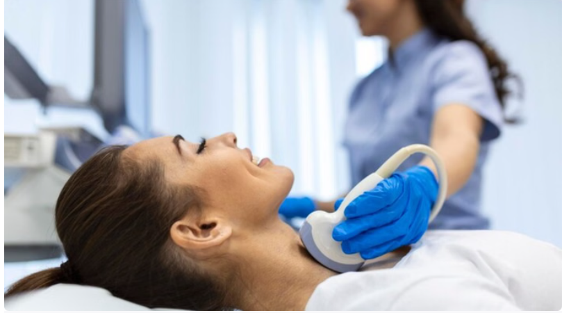 Screenshot 2025 11 25 121107