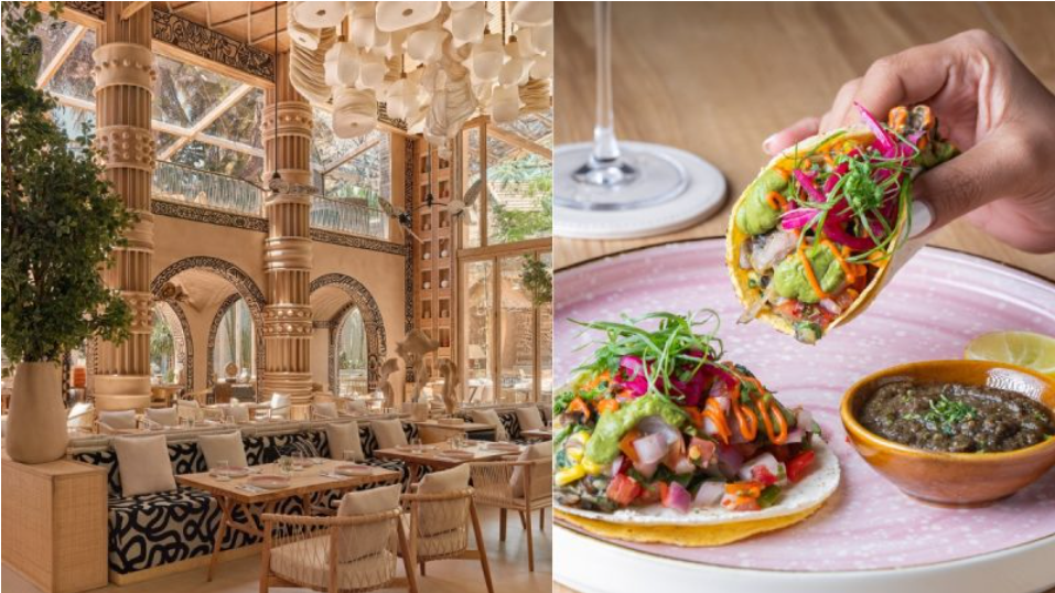 अभिनेत्री शिल्पा शेट्टी के पब पर इनकम टैक्स डिपार्टमेंट का छापा, जानें क्या है पूरा मामला ! 4 image 61