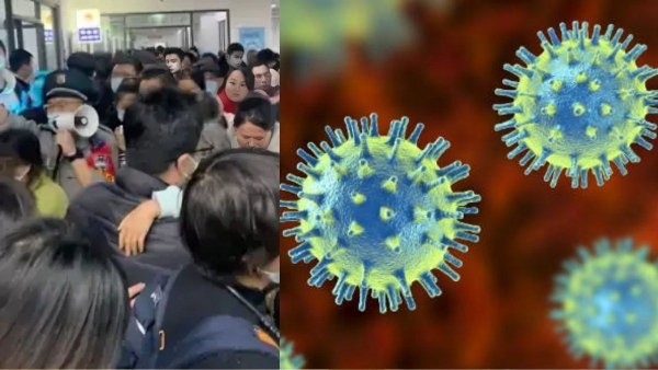 hmpv virus small 1736139243